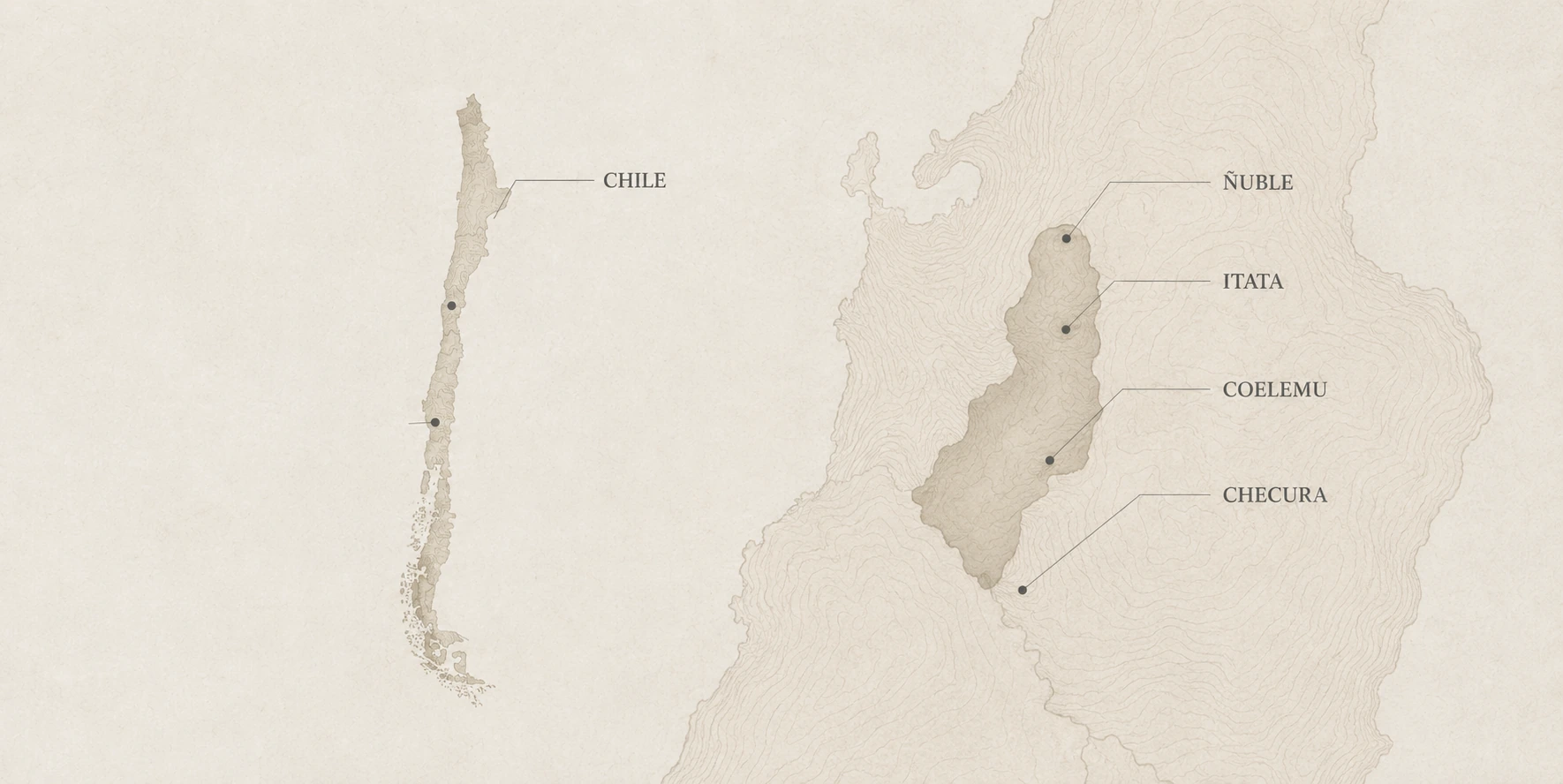 Mapa editorial de Chile, Ñuble, Itata, Coelemu y Checura
